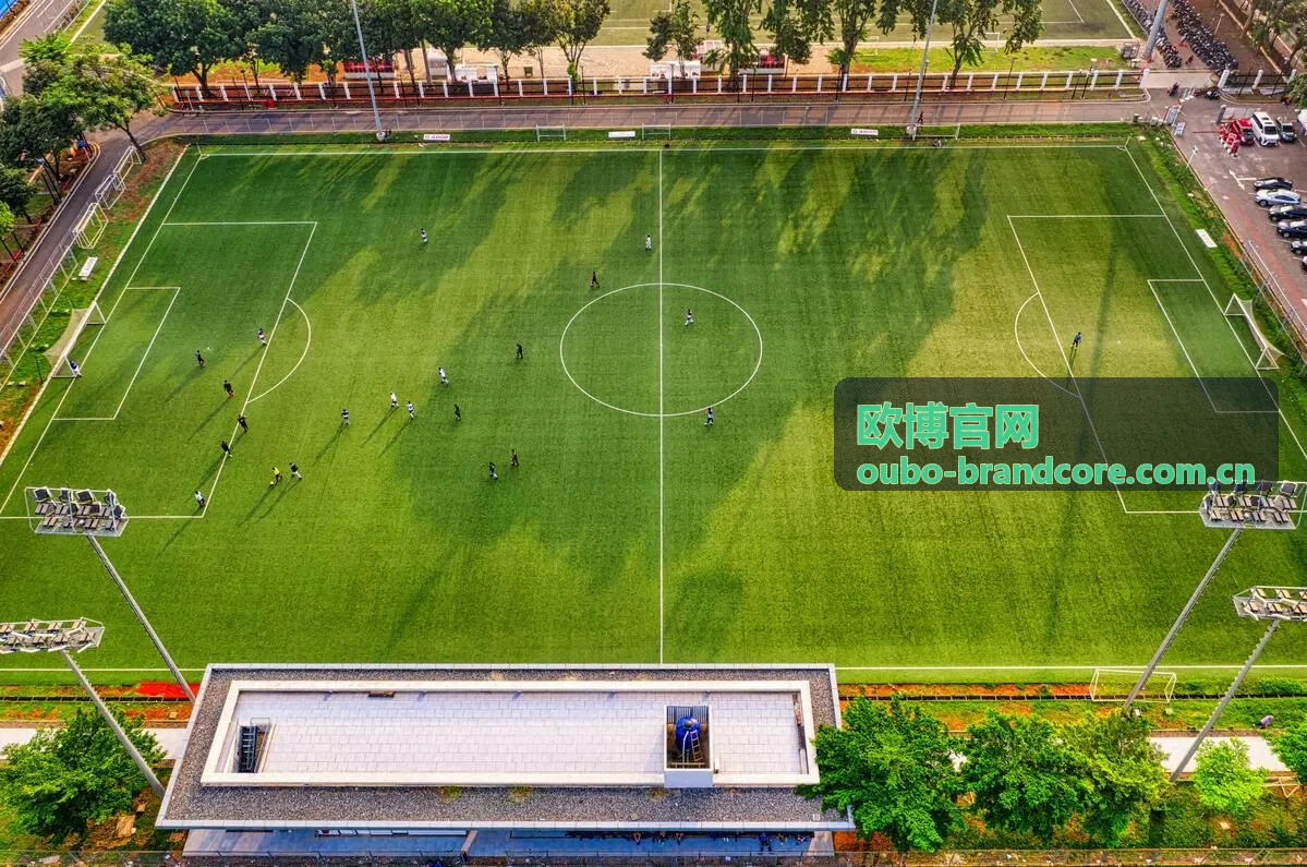 欧博官网公告更新与权益说明